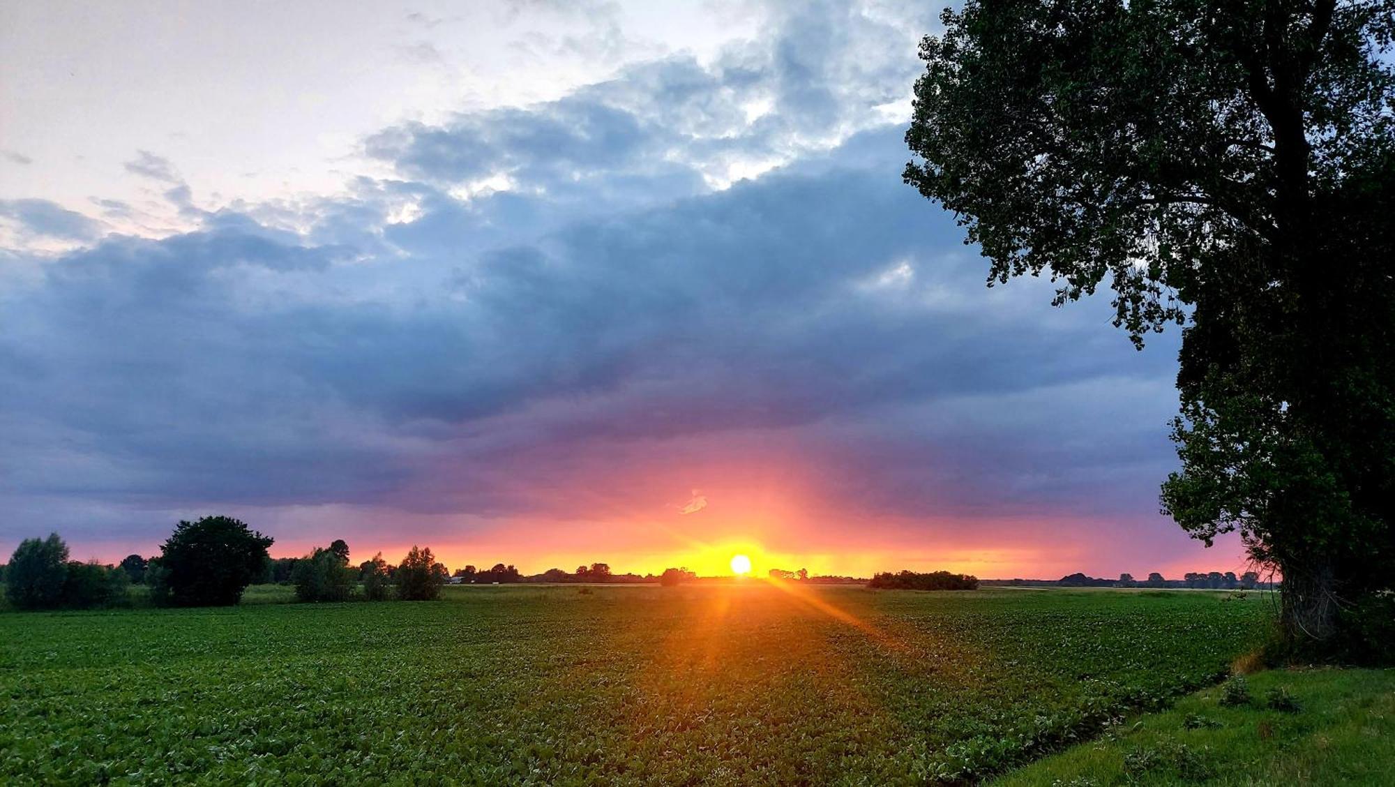 Vila Siedlisko Tafle Chorazowka Exteriér fotografie